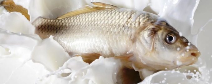 молоко убирает запах тны