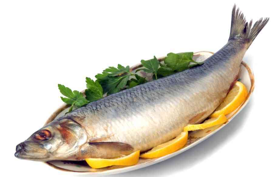 большая селедка