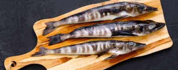 крупная ледяная рыба