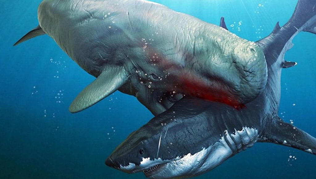 как нападал Левиафан Мелвилла