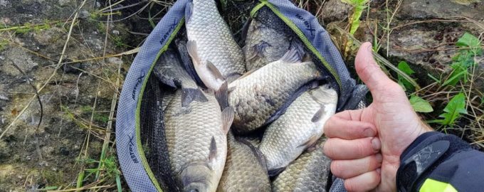 как ловить карася осенью