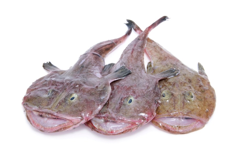 морской черт