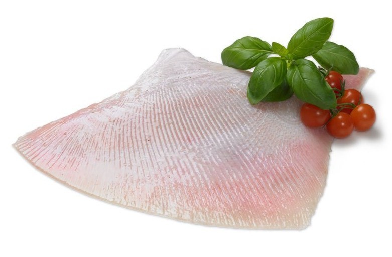 как выглядят крылья ската