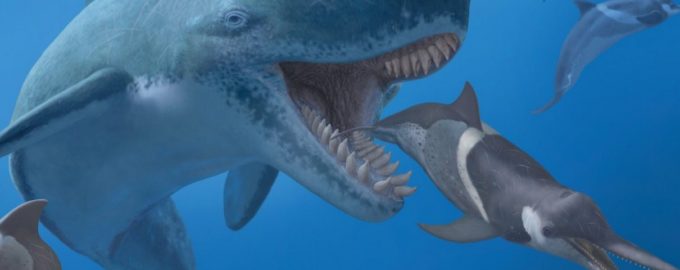 какие огромные существа были на земле раньше