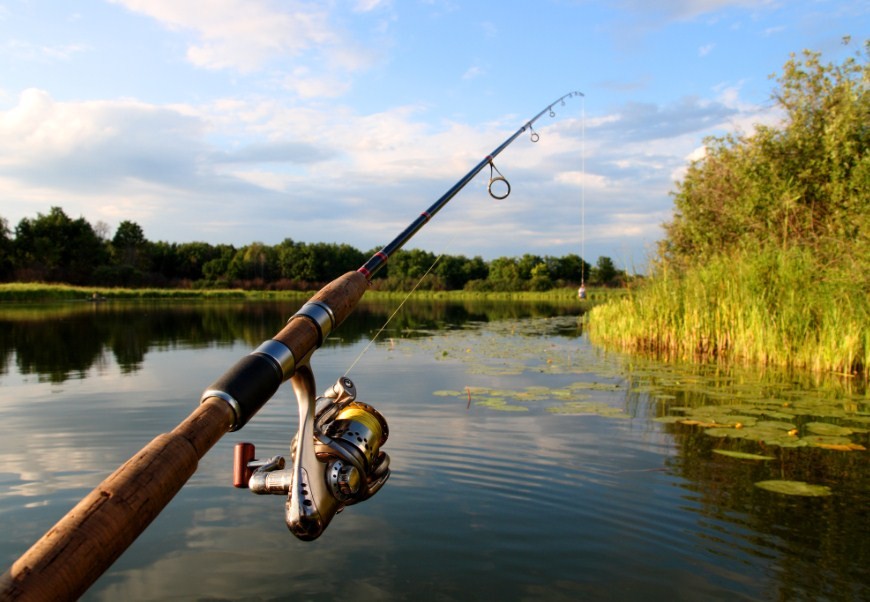 как повысить клёв