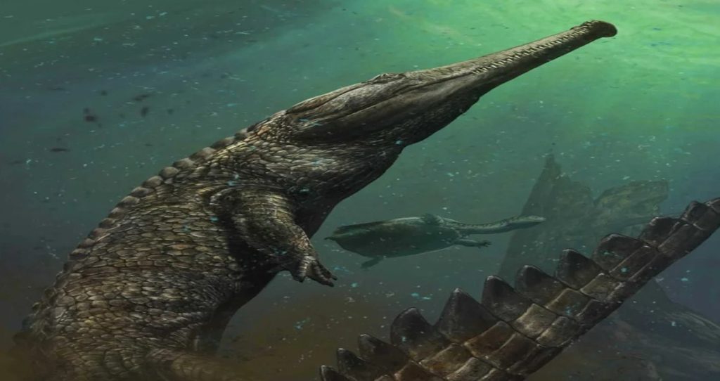 внешний вид аллигатора Рамфузухус