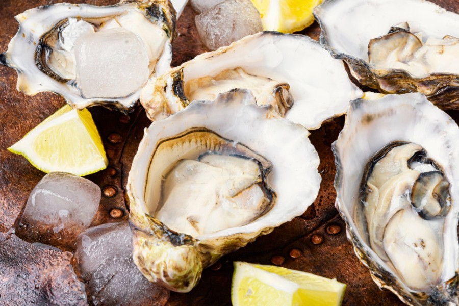 устрицы