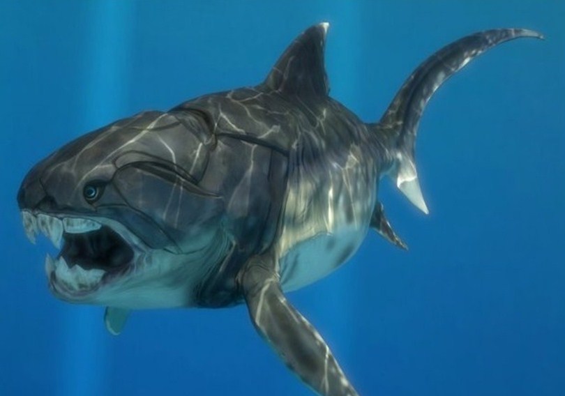 существо Зигофицетер валорай