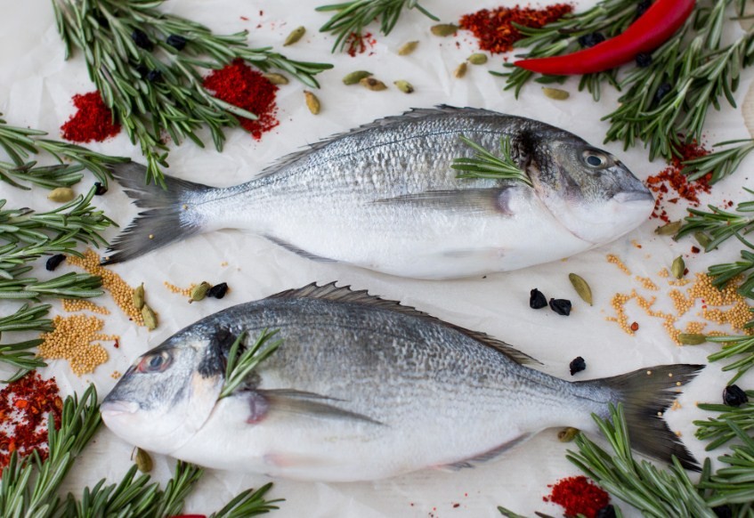 рыба дорада