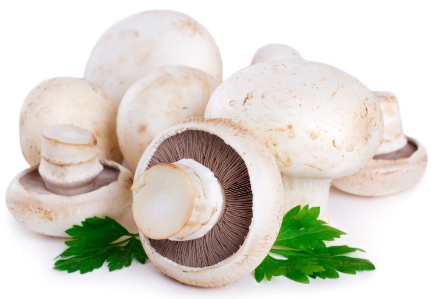 шампиньйоны 
