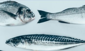 какая рыб опасна