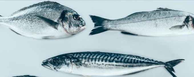 какая рыб опасна