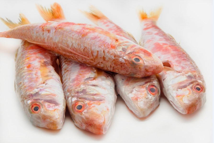 внешний вид кефальника