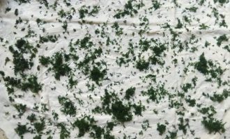 укроп на лаваше