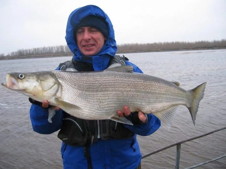 рыбак с небольшой рыбой 