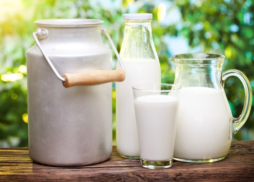 молочные продукты