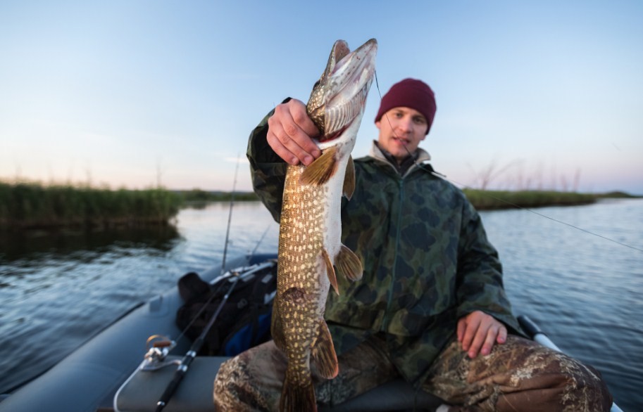 пойманная щука