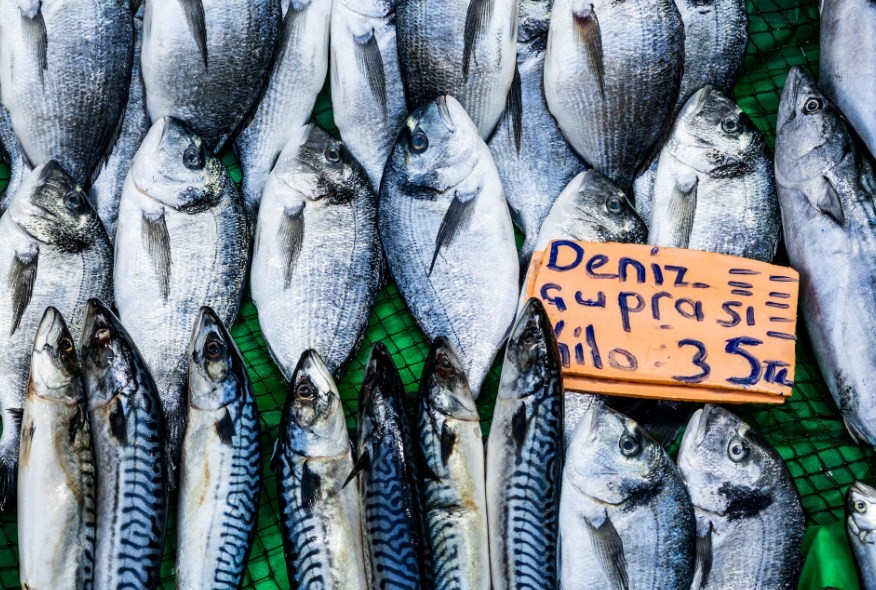 какая рыба опасна