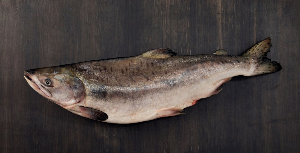 целая рыба горбуша
