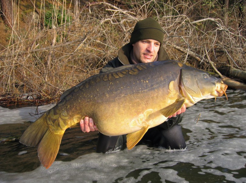 огромный карп