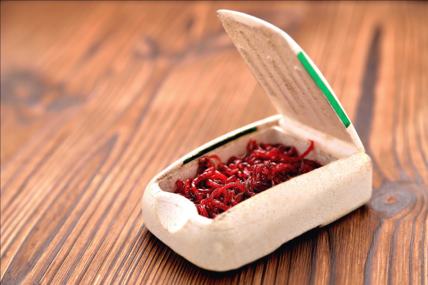 мотыль в емкости 