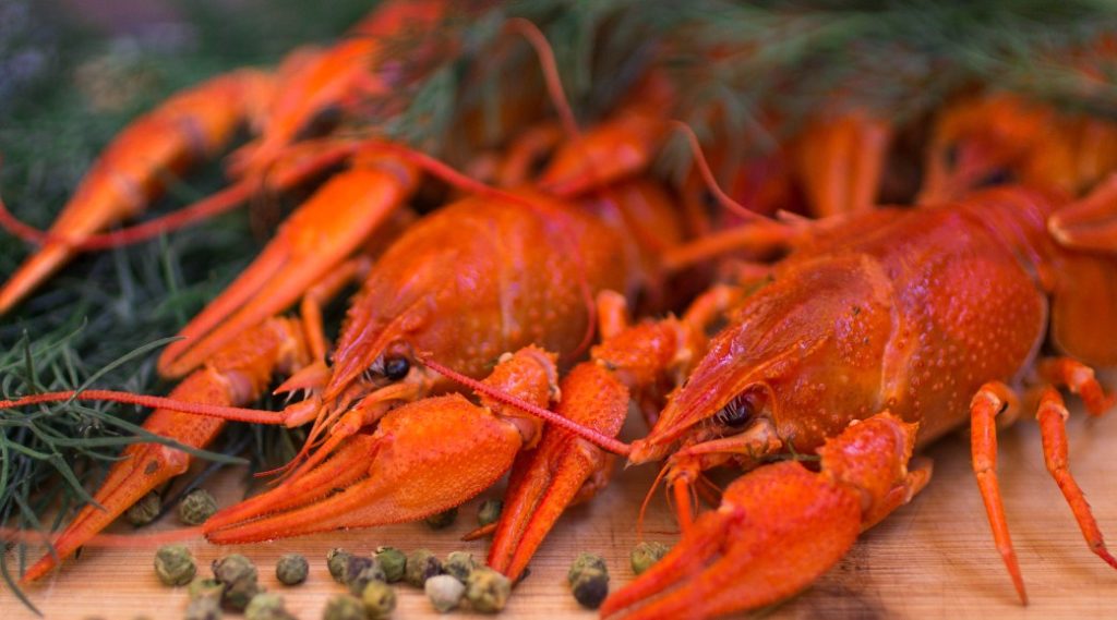 раки и специи 