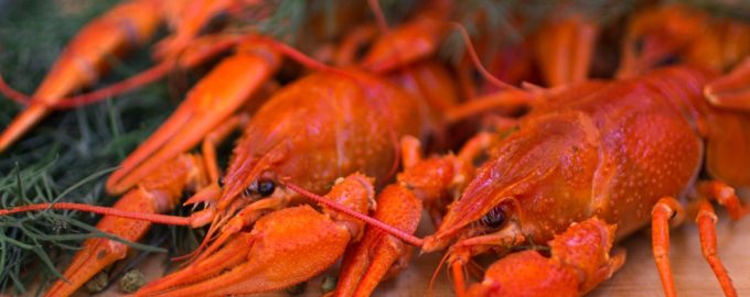 раки и специи