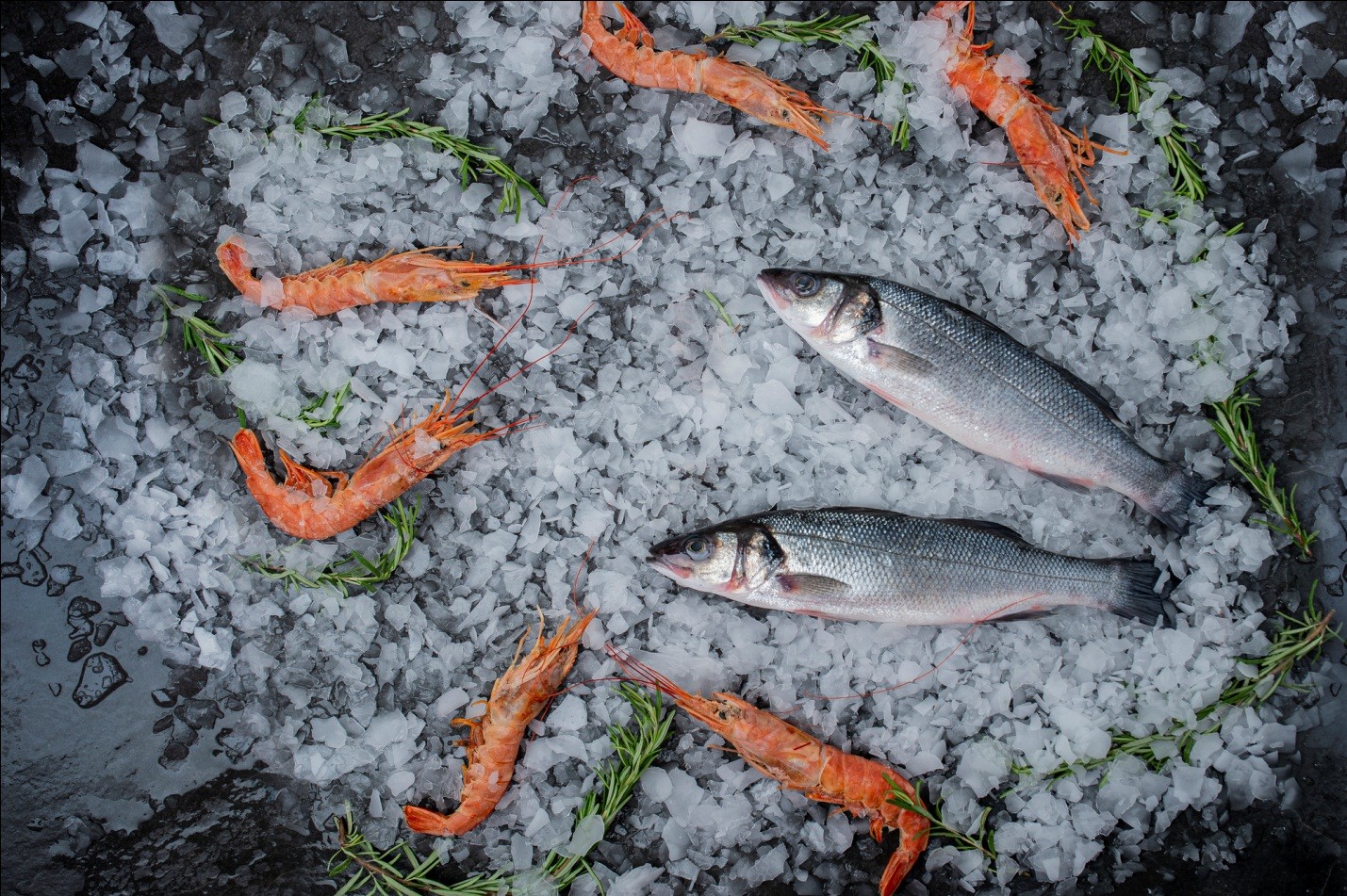 свежая рыба на льду 
