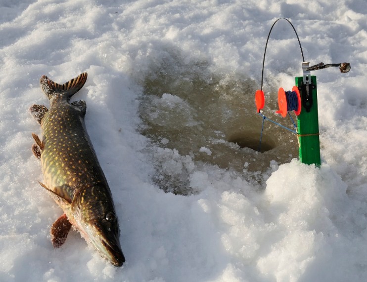 ошибки мешающие клеву