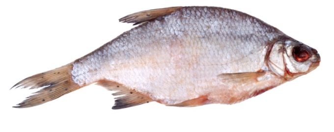 как выглядит сушеная вобла