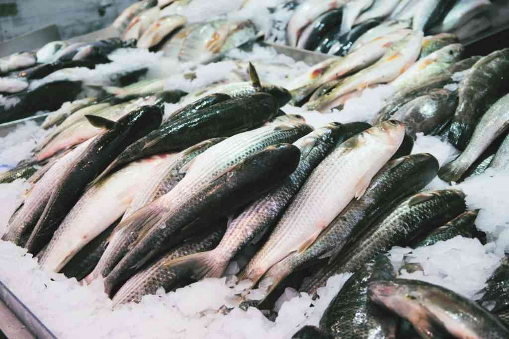 рыба на льду