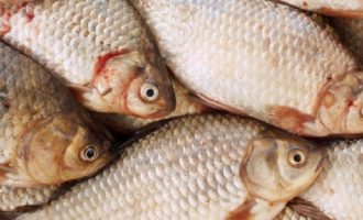 несколько карасей