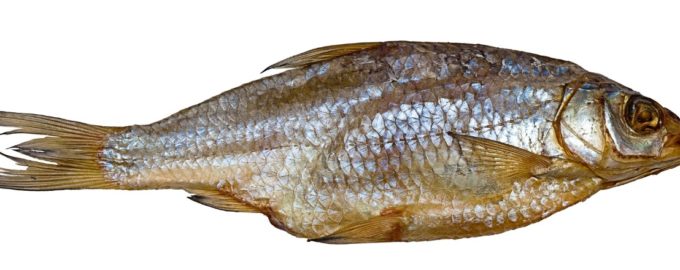 рыба вобла
