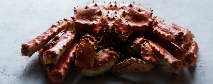 внешний вид камчатского краба