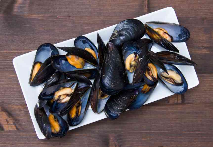 как выглядят мидии