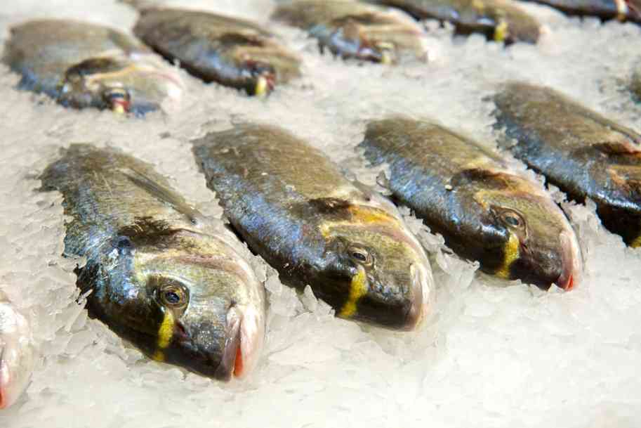 сколько калорий в рыбе 