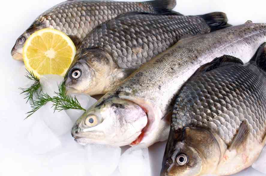 разная рыба 