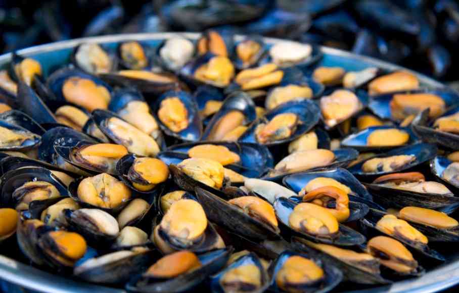 мидии на блюде 