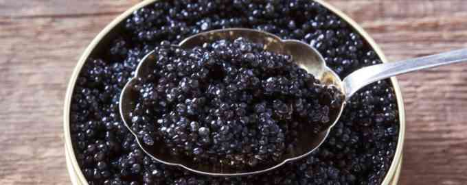 белужья икра