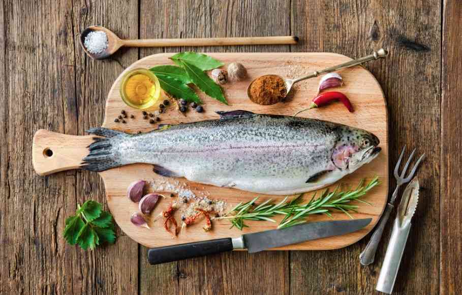 строение форели 