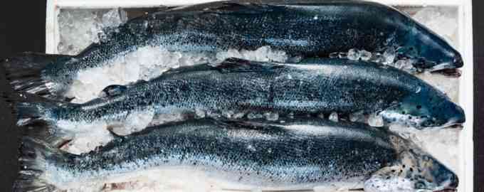 как правильно замораживать рыбу