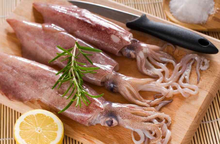 как выглядит кальмар 