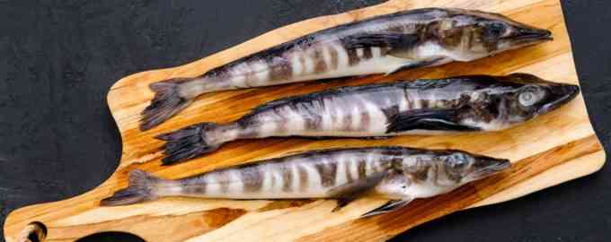 интересные факты о ледяной