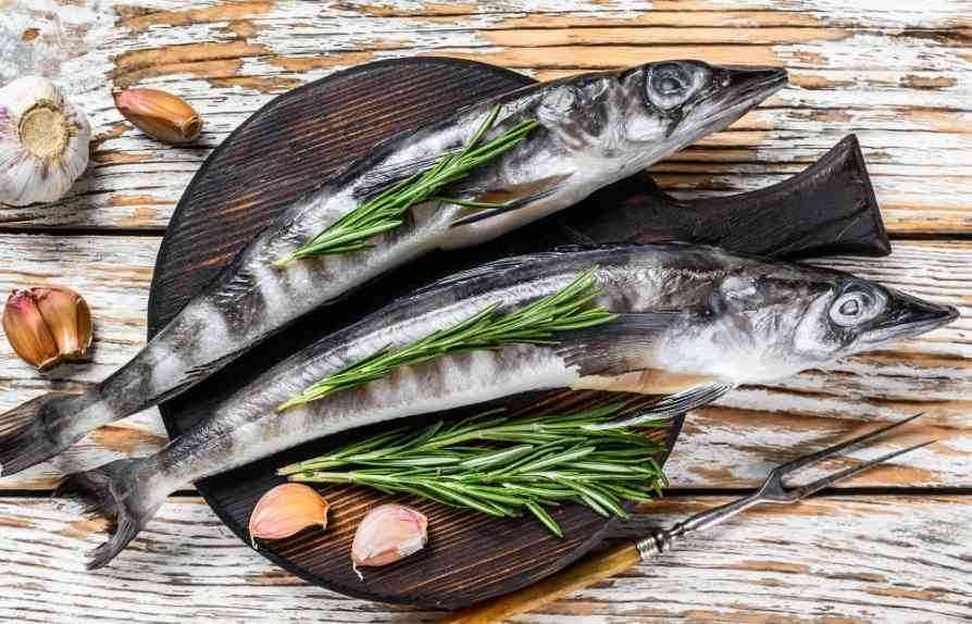 белокровная щука 