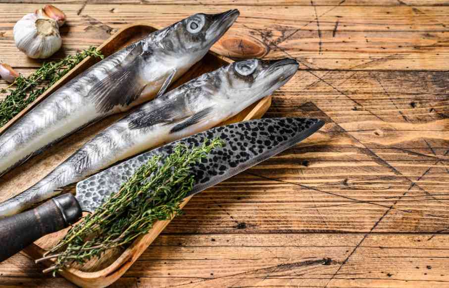 ледяная рыба 