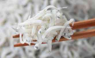 мелкая рыба