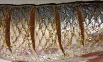 подготовленная рыба