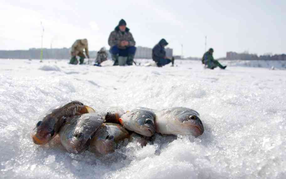 рыба зимой