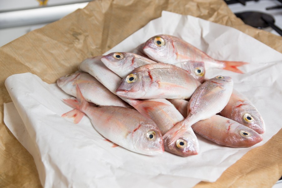 свежая рыба