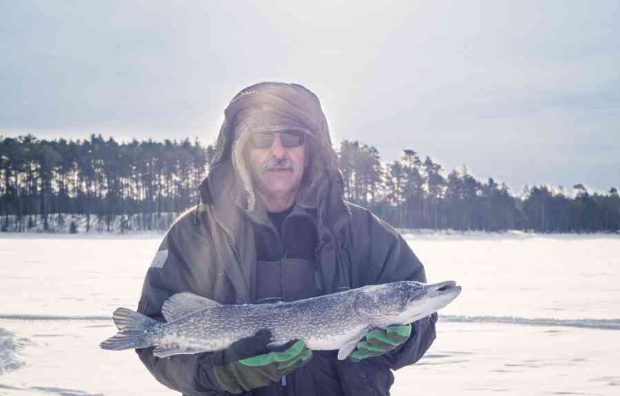 пойманная щука 